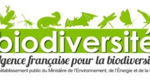 L’Agence française pour la biodiversité recrute un Chef du service communication numérique et multimédia (h/f)