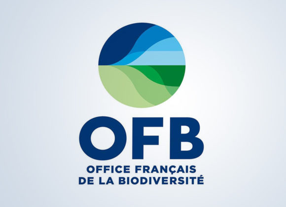 L’OFB recrute un(e) chargé(e) de comm externe (CDD de 6 mois)