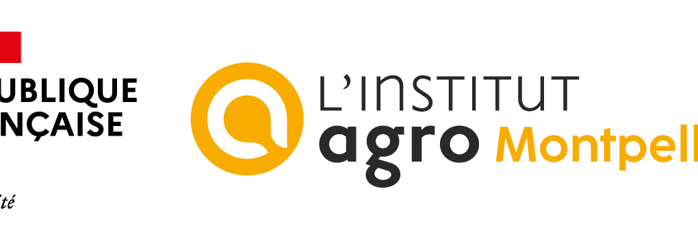 L’Institut Agro Montpellier recherche son ou sa chef(fe) de projet web