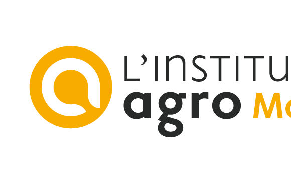 L’Institut Agro Montpellier recherche son ou sa chef(fe) de projet web